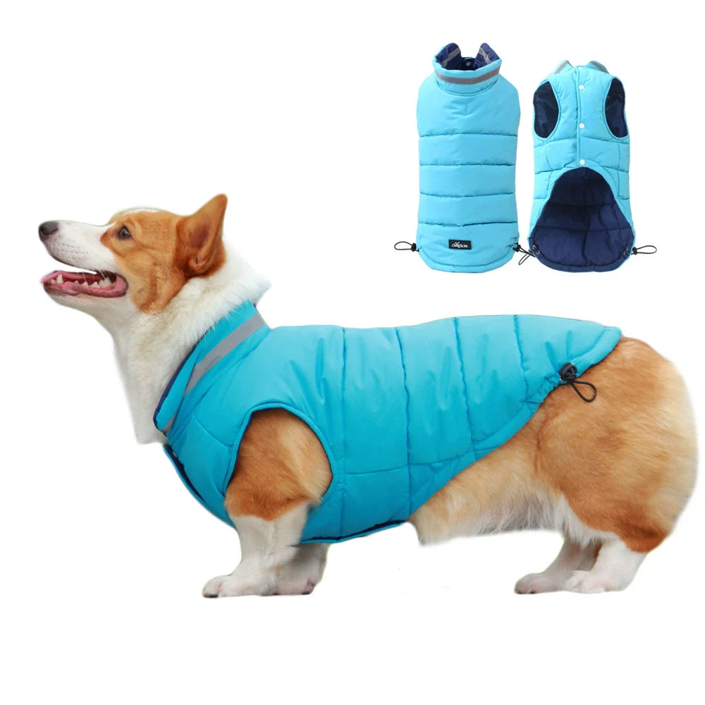 Blue reflective dog puffer vest on dog, sleeveless padded winter jacket