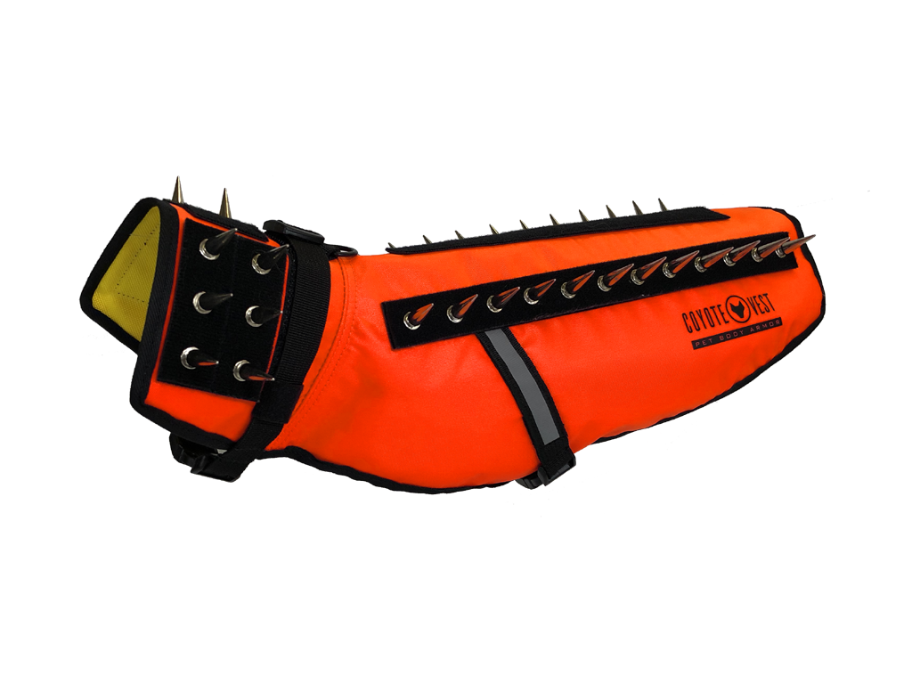 Orange spiked dog vest with black studded strap panel and adjustable side buckles