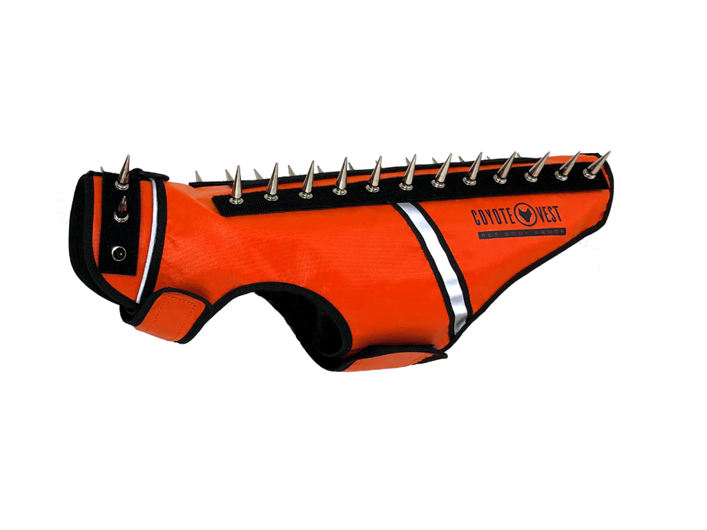 Fluorescent orange spiked cat vest with black straps, metal studs, and white trim stripe