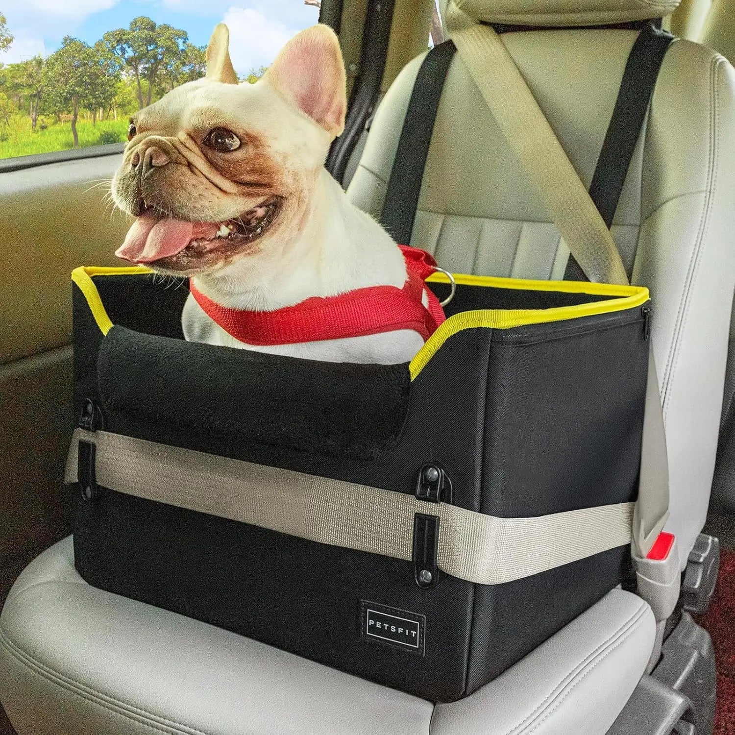 Black foldable pet booster car seat with safety buckles and tether strap, no-plush base