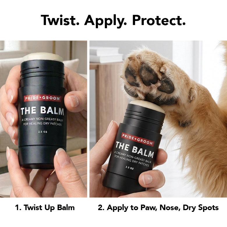 Dog balm container held in hands, black cylindrical Pride+Groom THE BALM, 2.5 oz