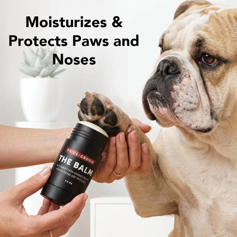 Hand applying Pride+Groom THE BALM on a dog’s paw, black balm container
