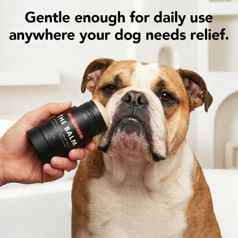 Dog being held close to Pride+Groom THE BALM as hand applies balm near face