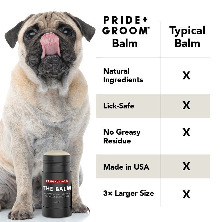 Pride+Groom THE BALM bottle next to sitting puppy on an info panel