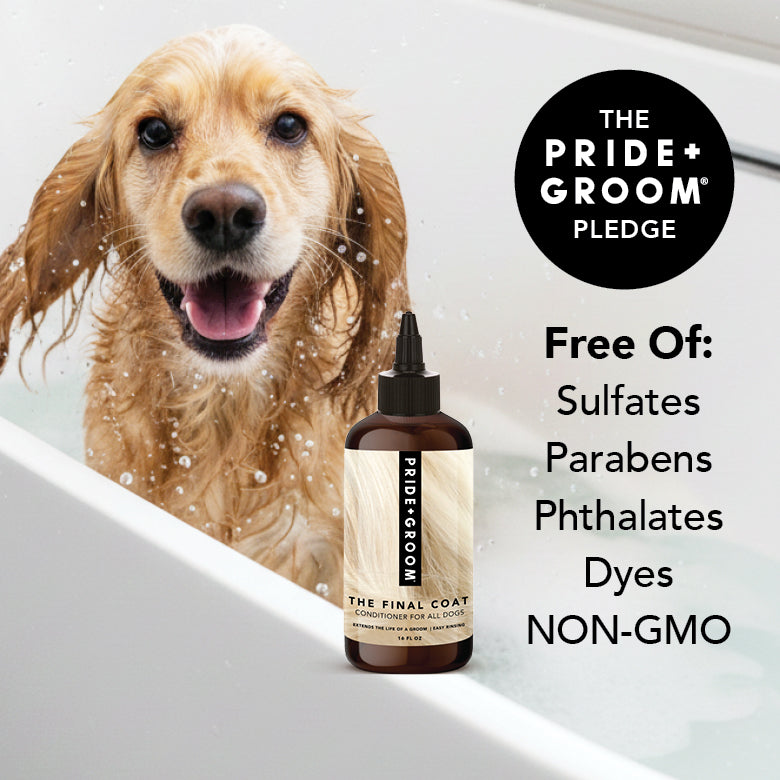 Dog in water with PRIDE+GROOM The Final Coat conditioner bottle with black pump