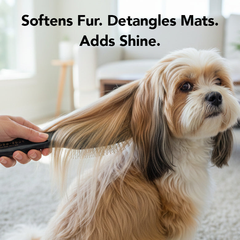 Dog being brushed with a fluffy coat for added shine and detangling.