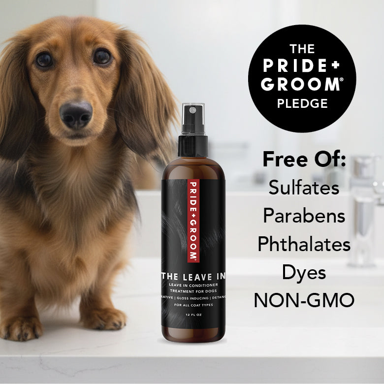 Dog beside Pride+Groom THE LEAVE IN spray bottle, with black pump.