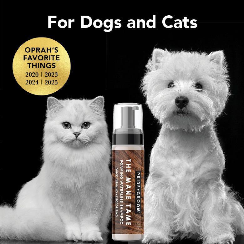 Waterless shampoo pump bottle beside cat and dog portraits, with Pride+Groom label.