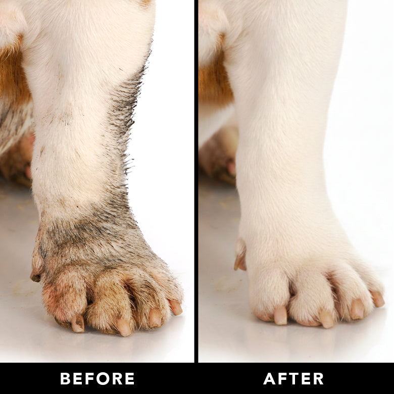 Before-and-after paw grooming comparison showing improved fur on dog feet.