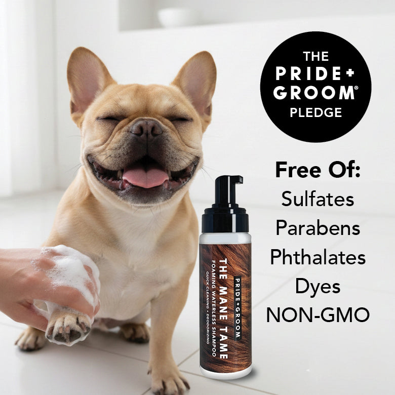 Waterless shampoo pump bottle next to a french bulldog and free-from ingredient list.