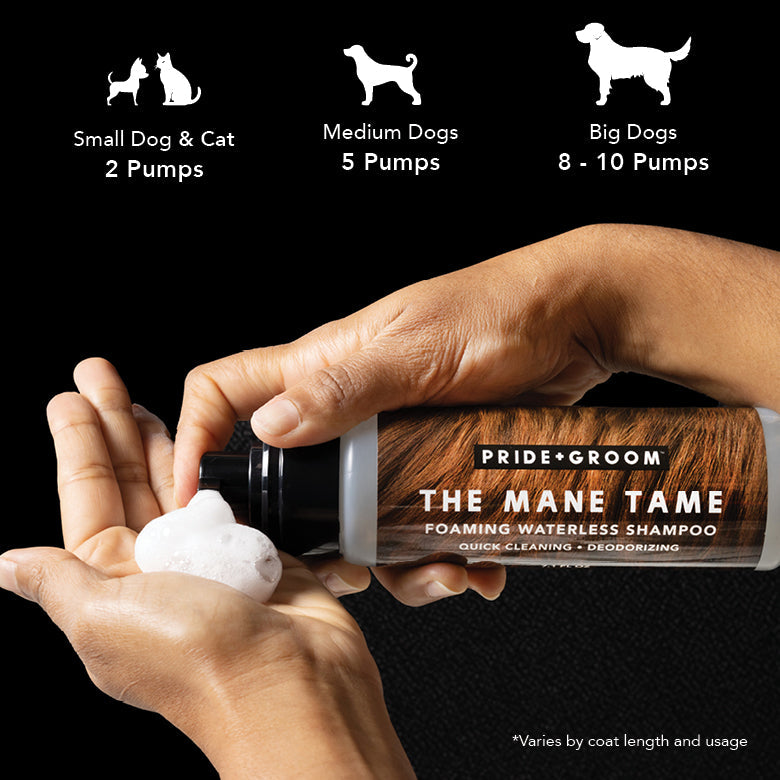 Foaming waterless shampoo bottle with pump held over hands.