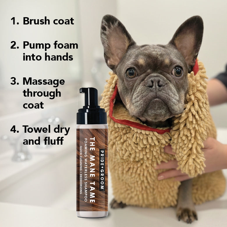 Waterless shampoo pump bottle next to a towel-dried dog with application sequence.