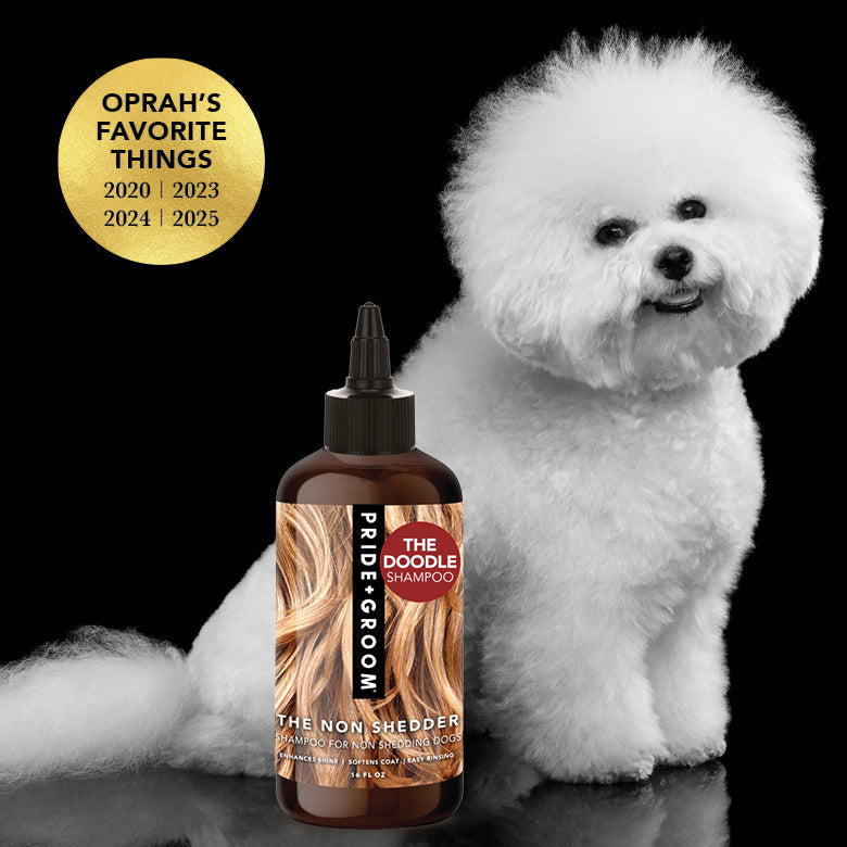 Dog shampoo bottle with black dropper cap beside white poodle