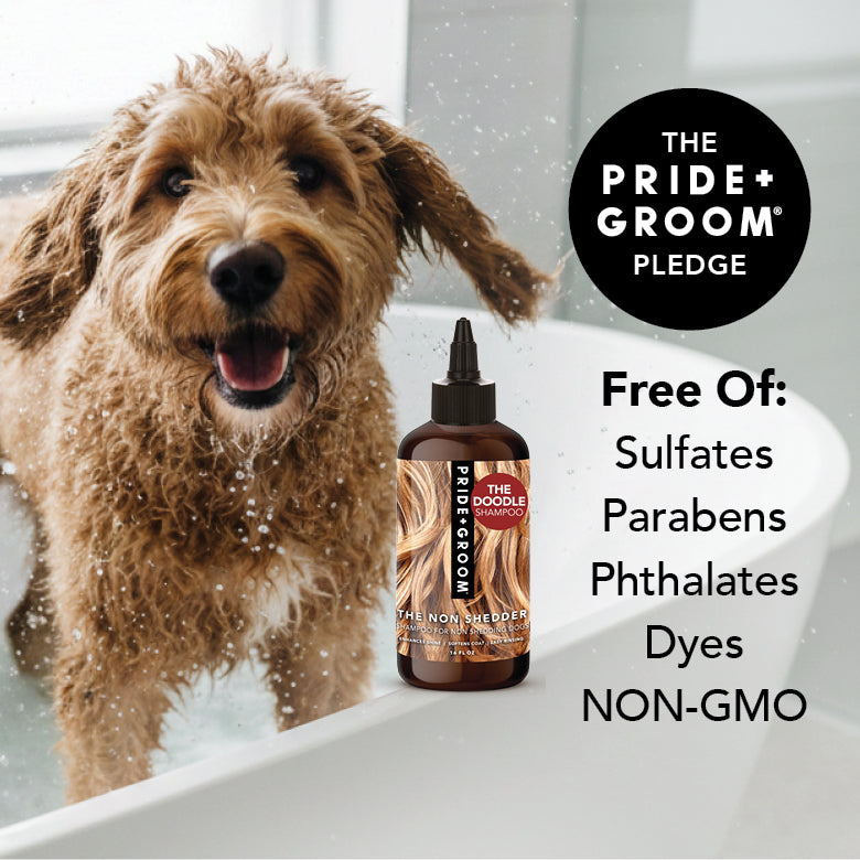 Dog shampoo bottle with black dropper cap by dog in bath, free-from claims