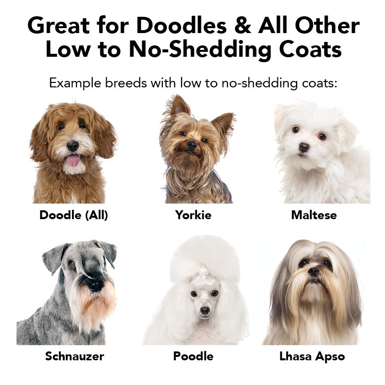 Non-shedding dog coat guide flyer with labeled dog breed photos