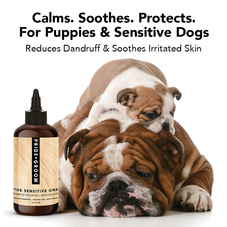 THE SENSITIVE ONE dog shampoo bottle with dropper, amber liquid, protective formula