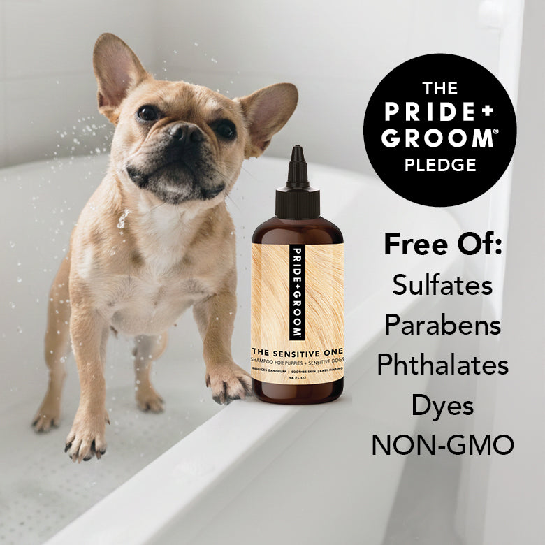 Dog shampoo bottle with tan dog and Pride+Groom pledge badge