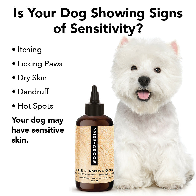 White dog next to dog shampoo bottle with sensitivity icons