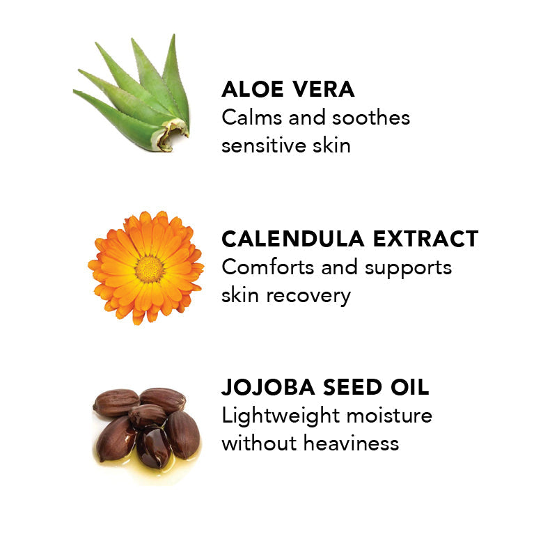 Dog shampoo ingredients: aloe vera, calendula extract, and jojoba seed oil