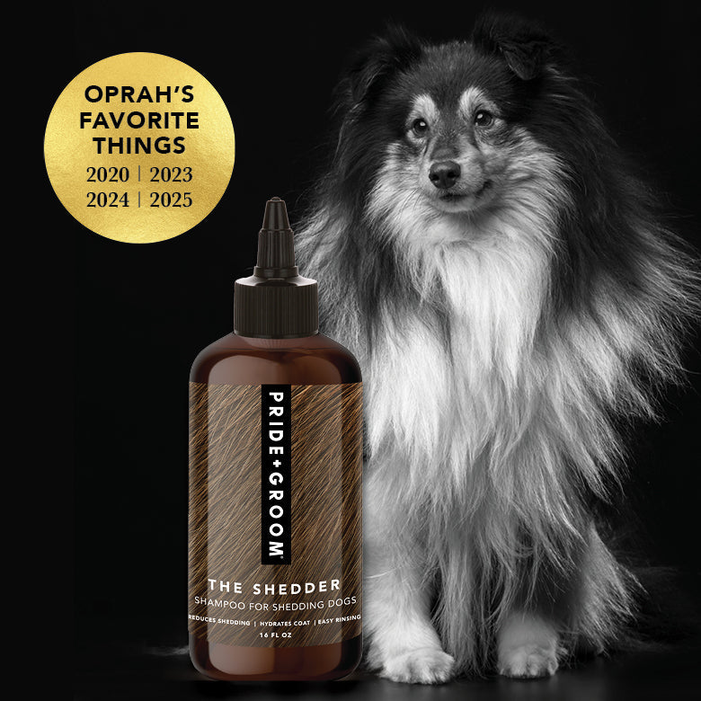 Dog shedding shampoo bottle with black dropper cap, dark amber brown liquid