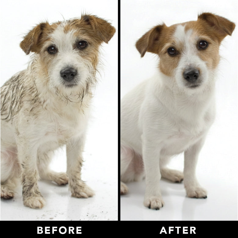 Before-and-after coat comparison of two dogs for de-shedding results