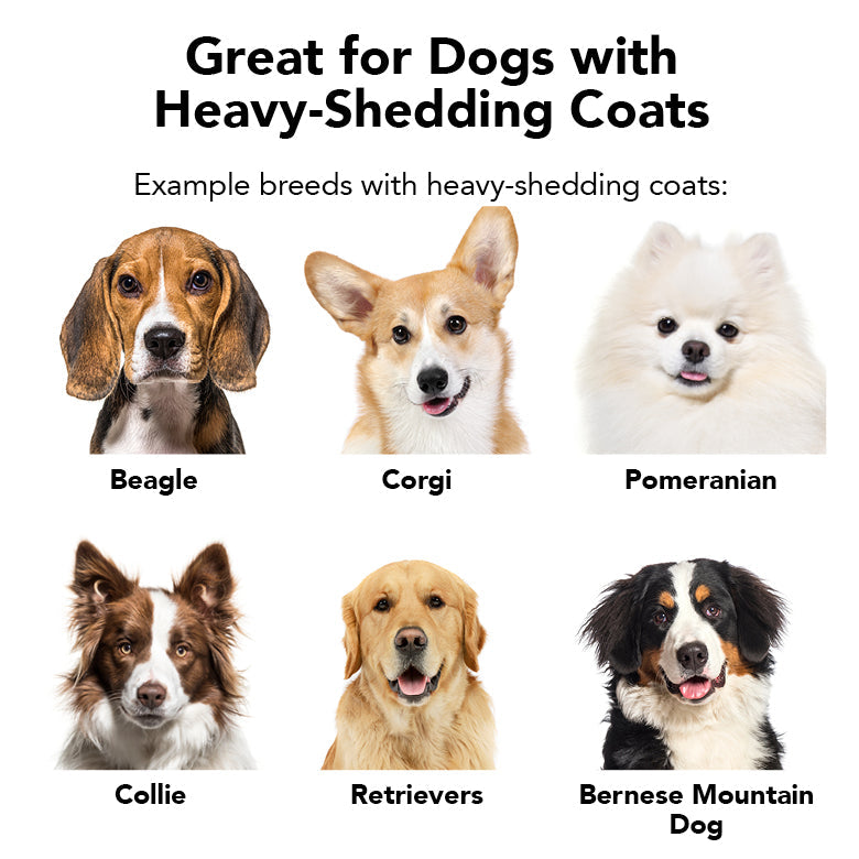 Heavy-shedding dog coat guide with six labeled dog portraits