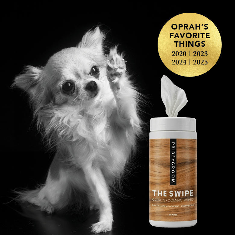 Dog grooming wipes canister with small puppy beside it
