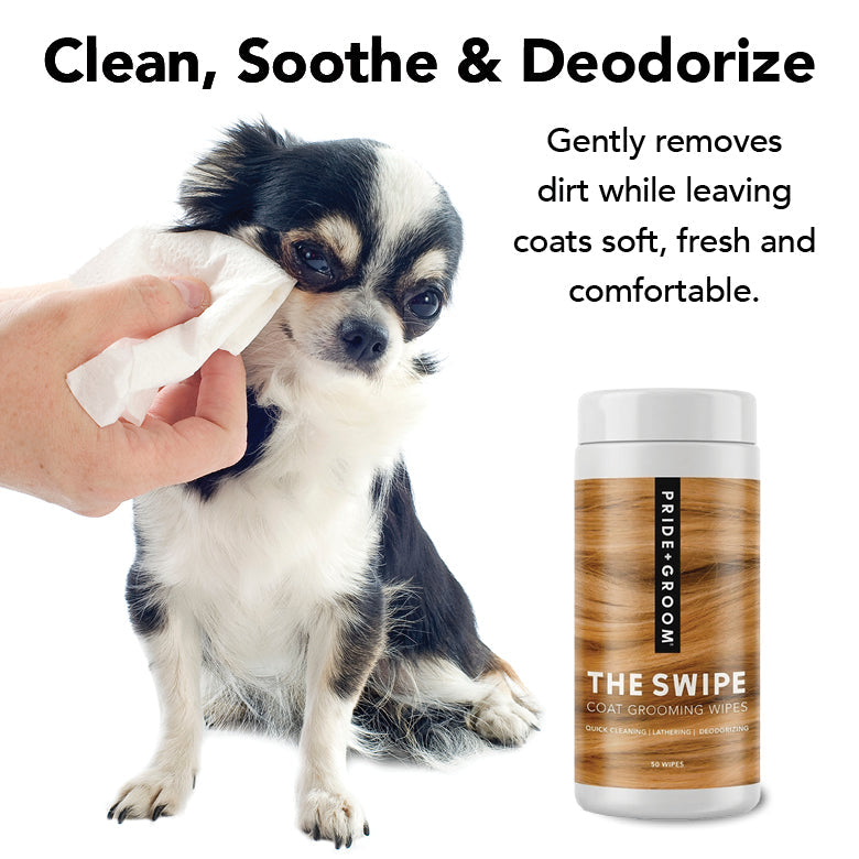 Dog grooming wipes being used on a puppy, with wipes canister in view