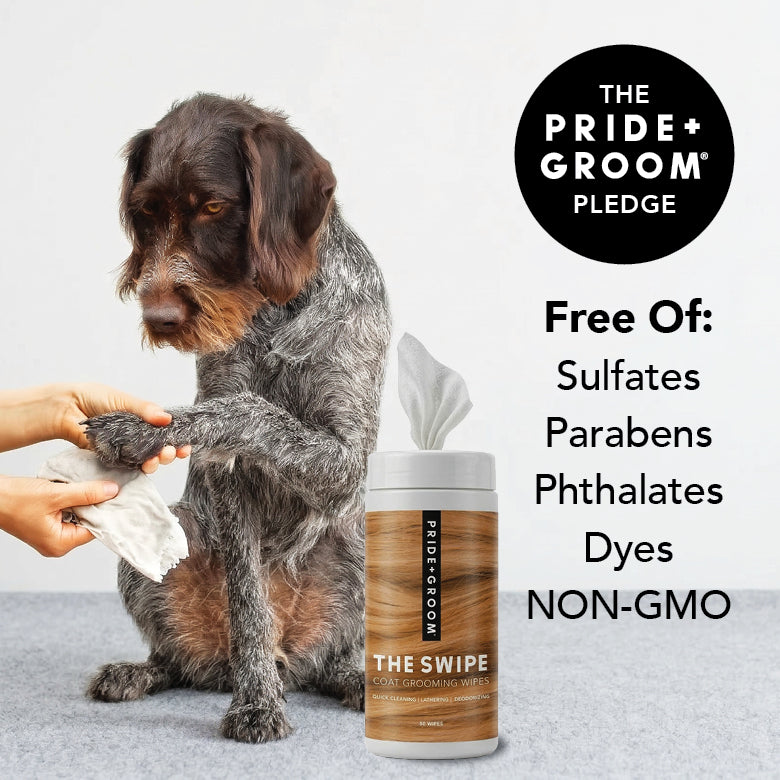 Grooming wipe being held for a dog with Pride+Groom wipes canister