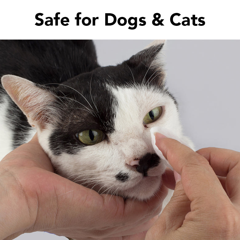 Cat being wiped with a grooming wipe, with hand and canister nearby