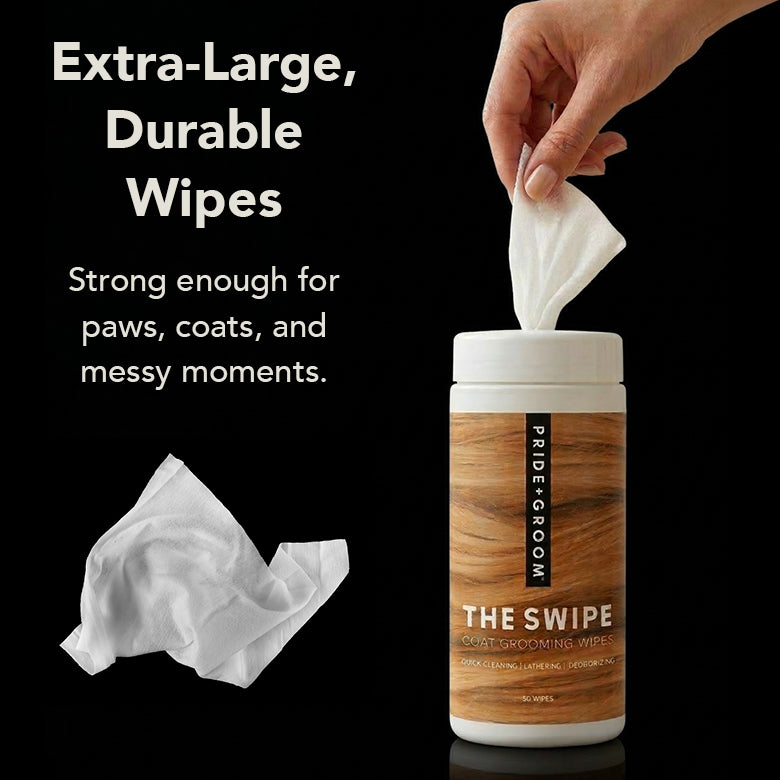 Extra-large dog grooming wipes with a canister and sheet held in hand