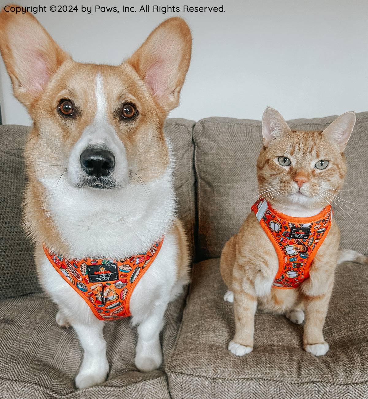 Orange Garfield™️ cat step-in harness on cat on couch, with character print