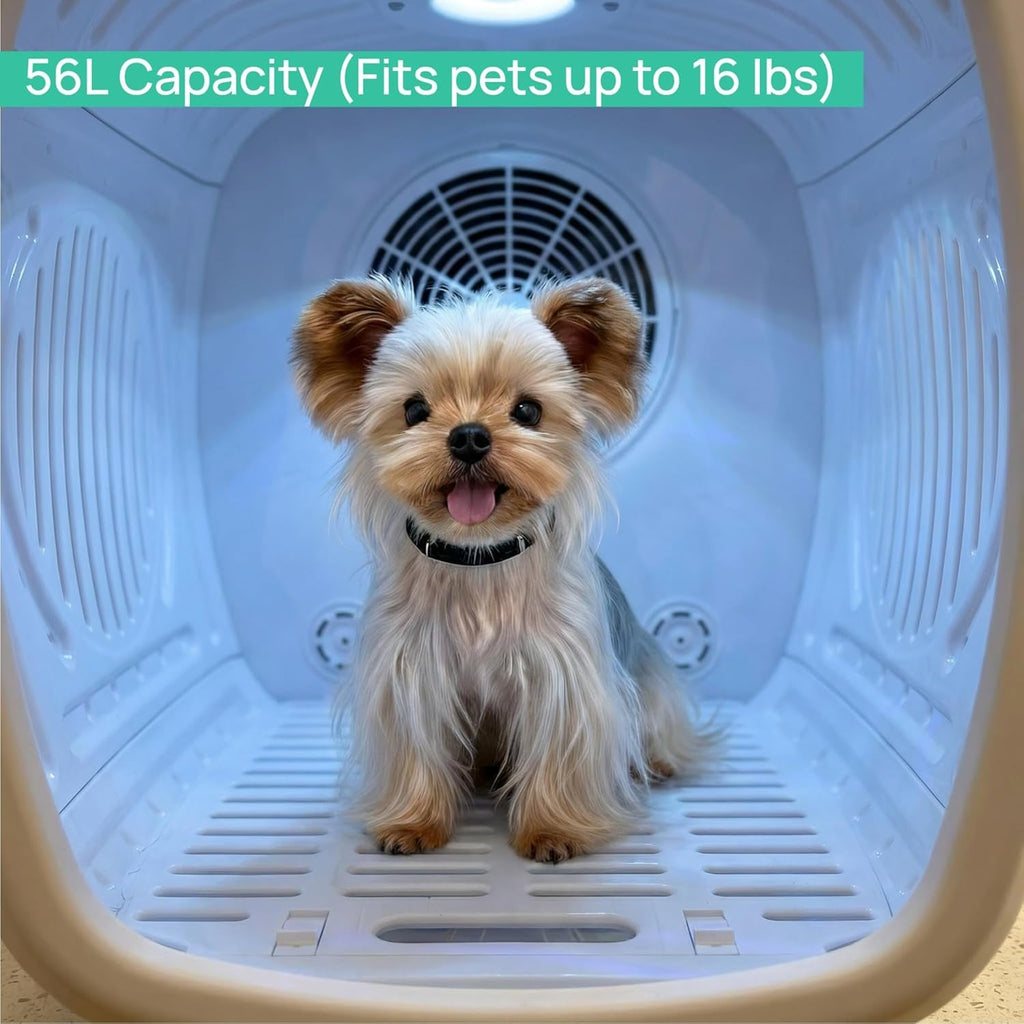 White pet grooming dryer box interior with floor grille and small dog sitting inside