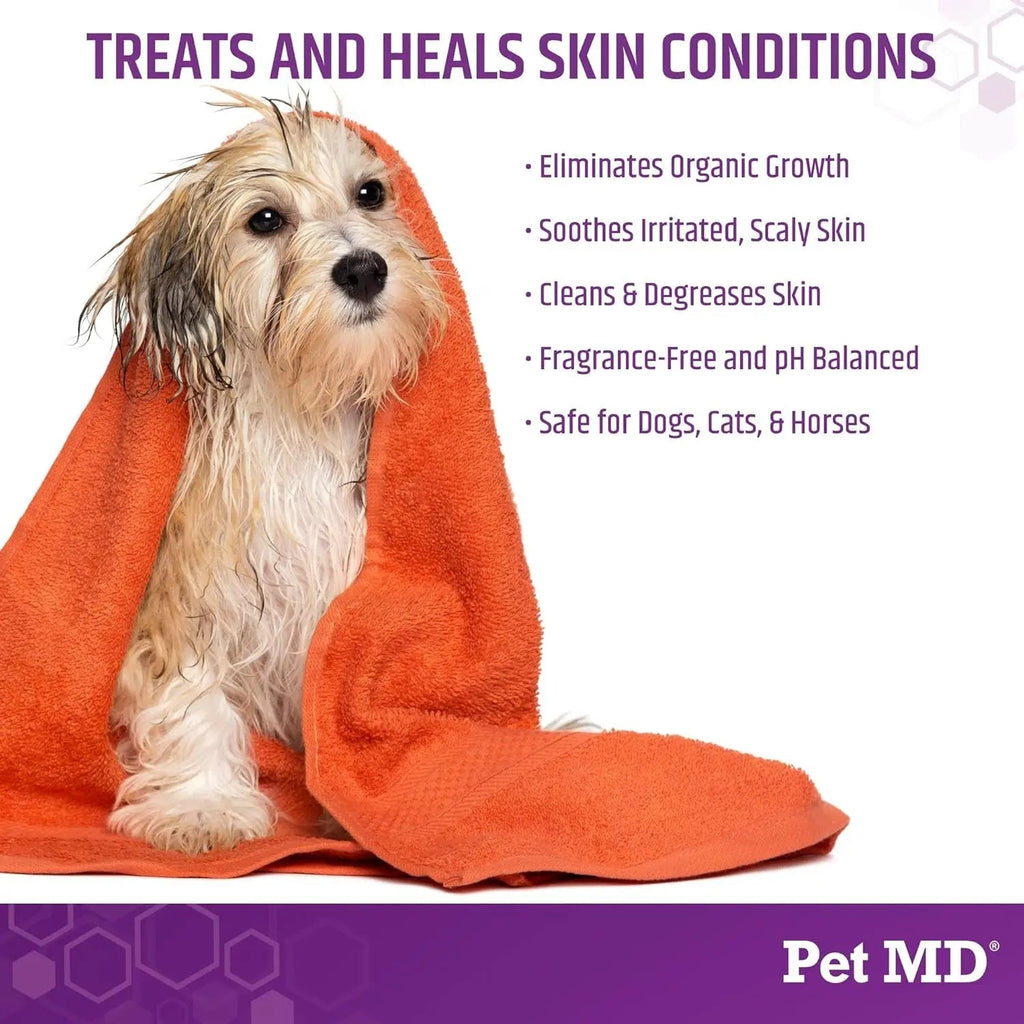 Small dog on orange towel; Micoseb-CX medicated shampoo skin-condition promo