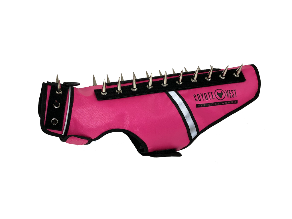 Pink spiked cat vest with black straps, metal studs, and white trim stripe