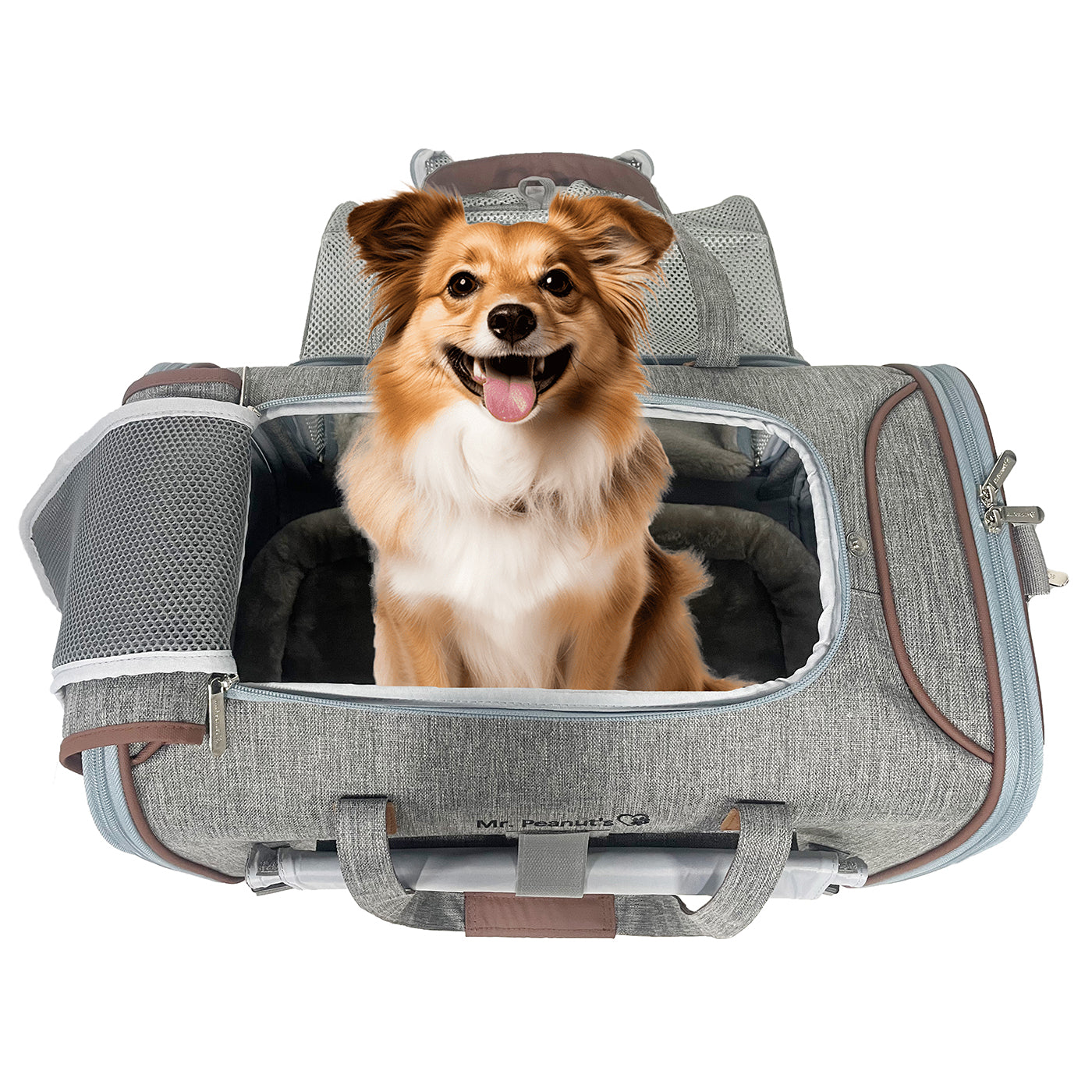 Platinum gray expandable pet carrier with mesh sides, front opening and carrying handles