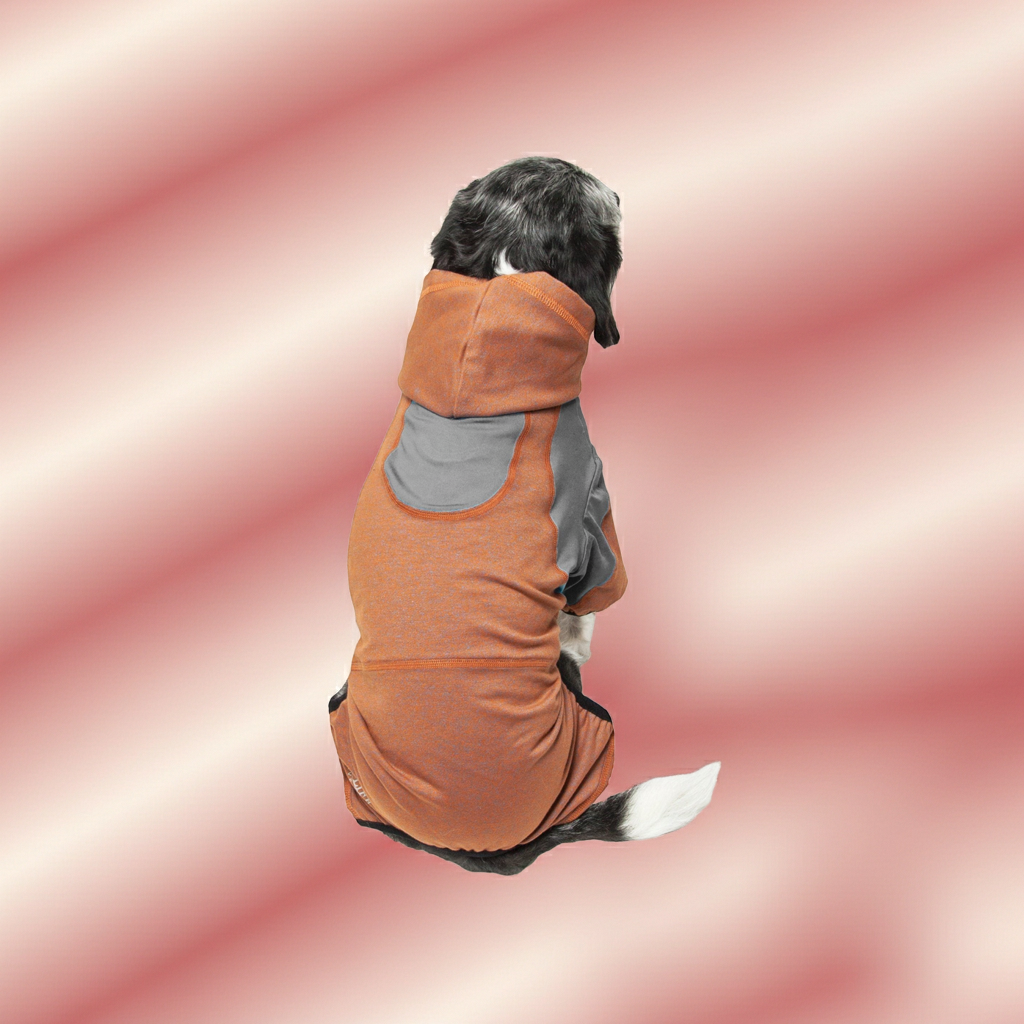 Orange hooded full-body dog sweater viewed from behind with gray trim