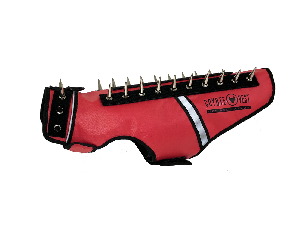 Red spiked cat vest with black straps, metal studs, and white trim stripe