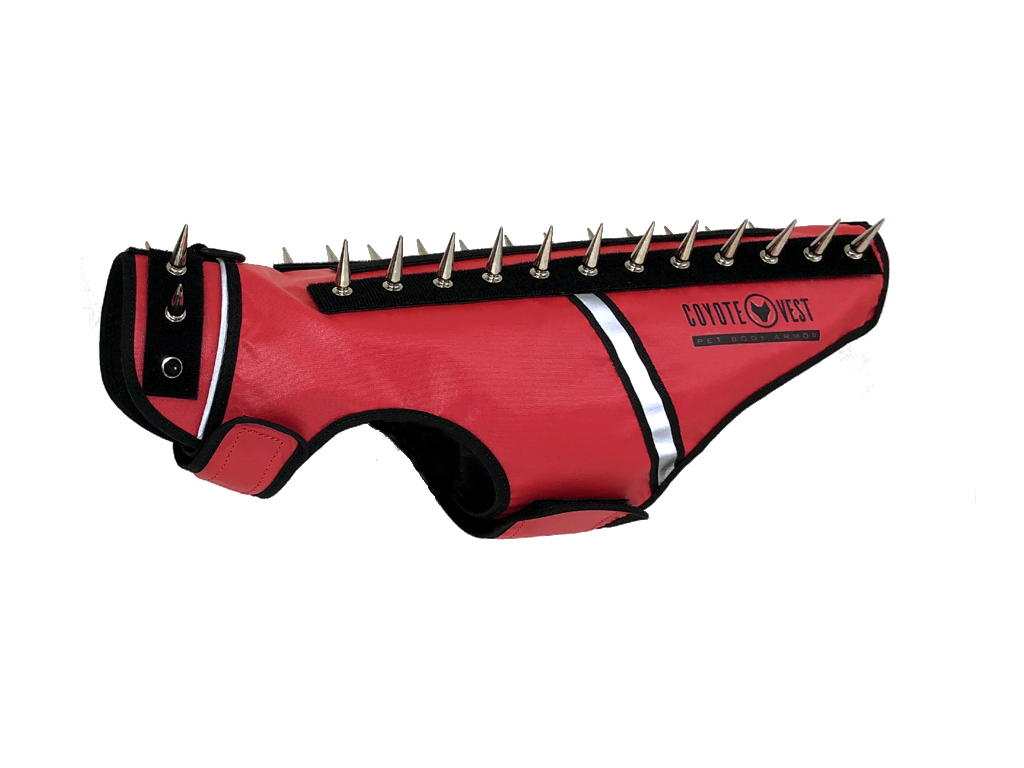 Red spiked cat vest with black straps, metal studs, and white trim stripe