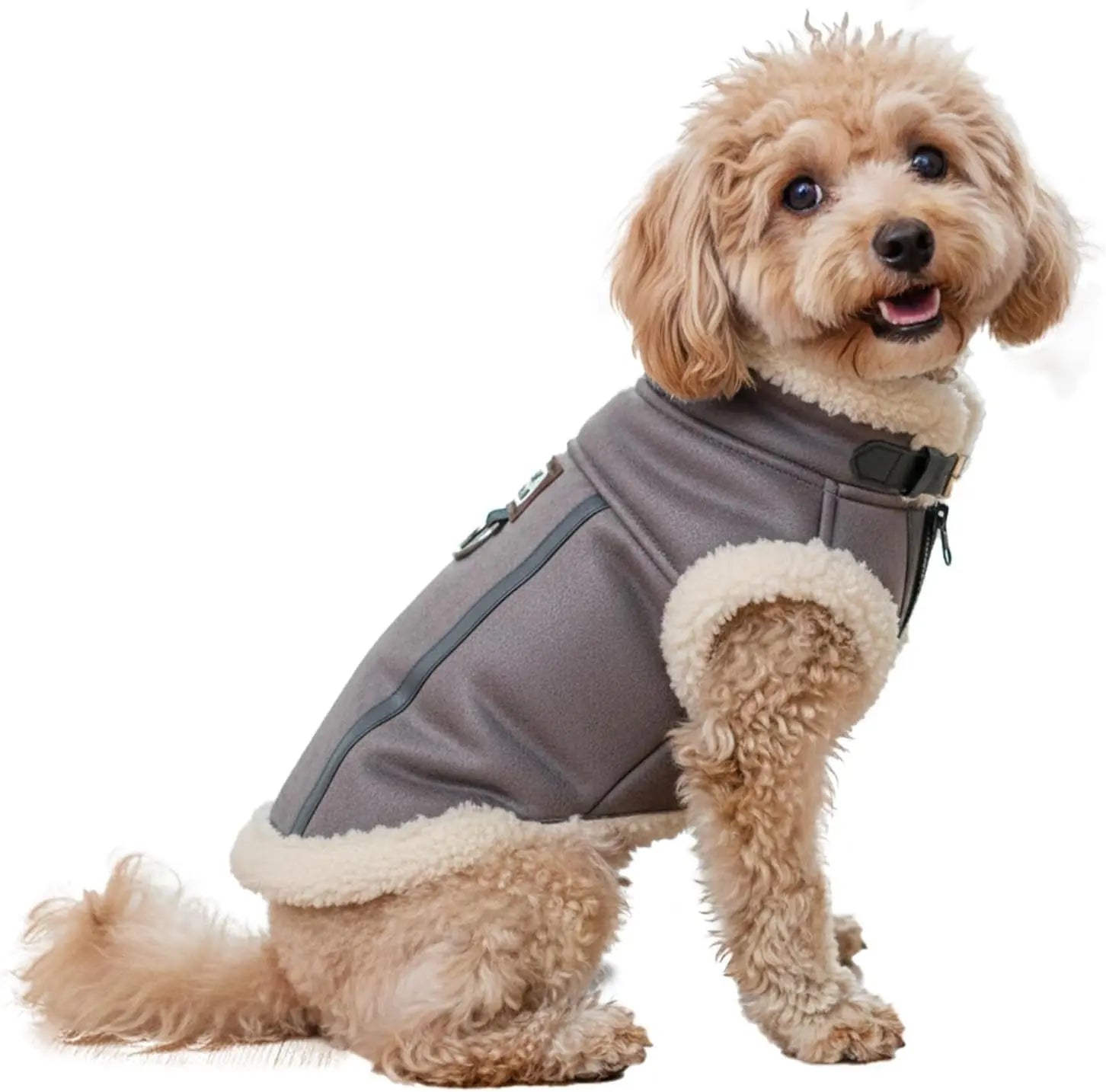 Gray dog aviator jacket with cream sherpa trim and adjustable side strap