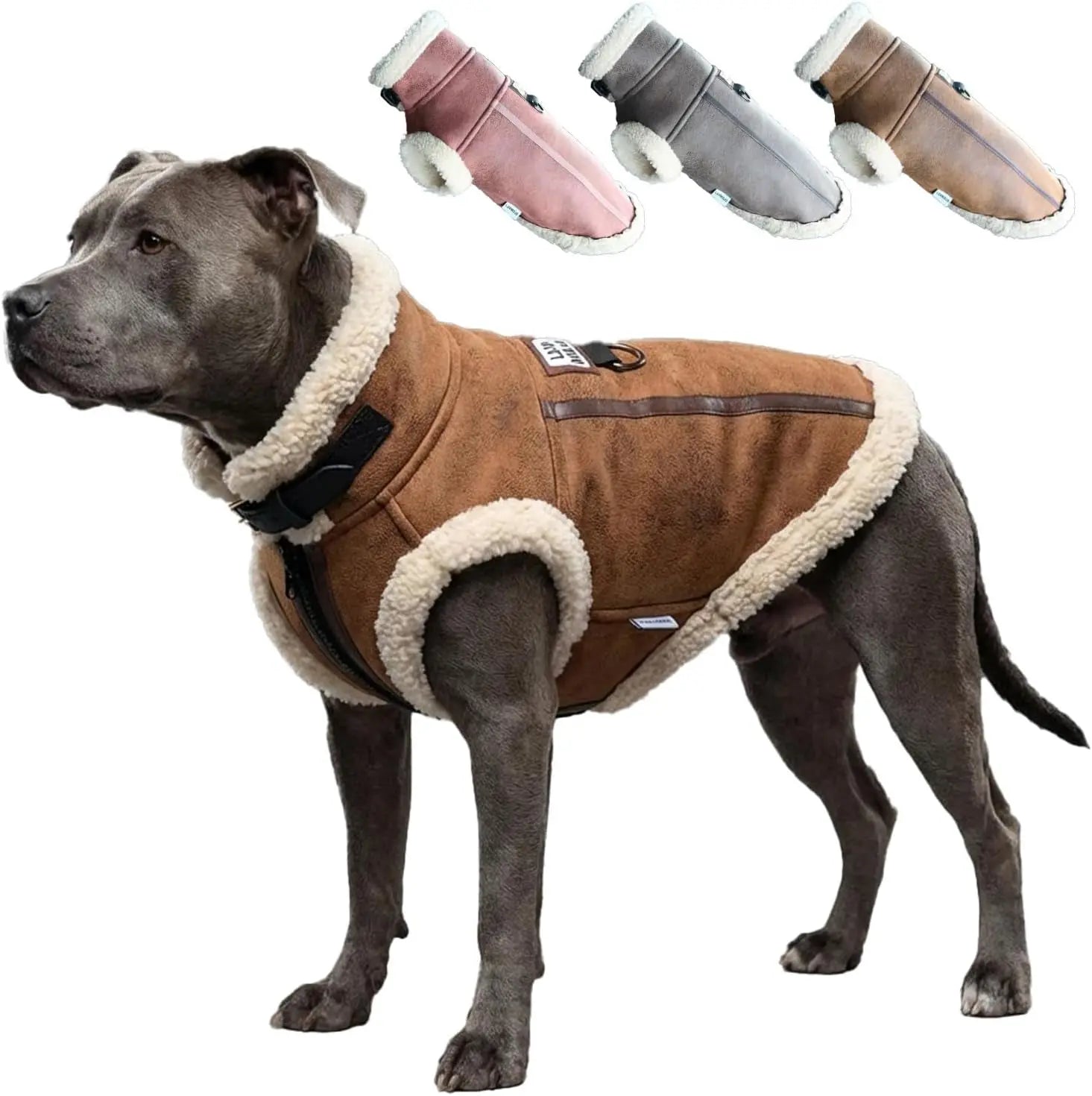 Coffee brown dog aviator jacket with cream sherpa collar and arched back opening