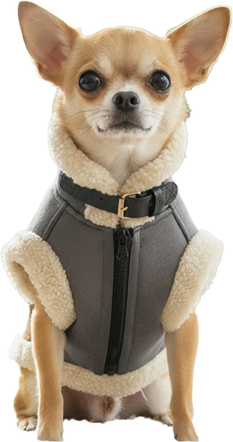Tan faux leather dog jacket with sherpa lining, front zipper and stand collar