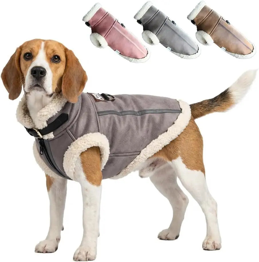 Gray faux leather dog jacket with cream sherpa trim and front zipper