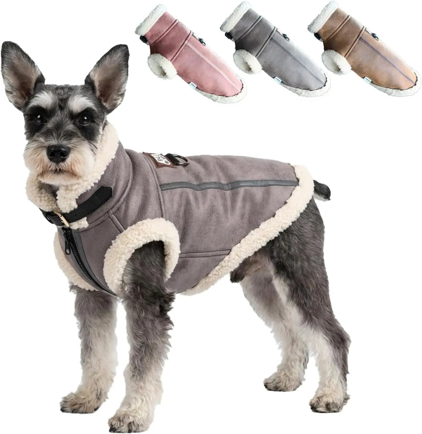 Gray faux leather dog aviator jacket with beige sherpa lining and front zipper