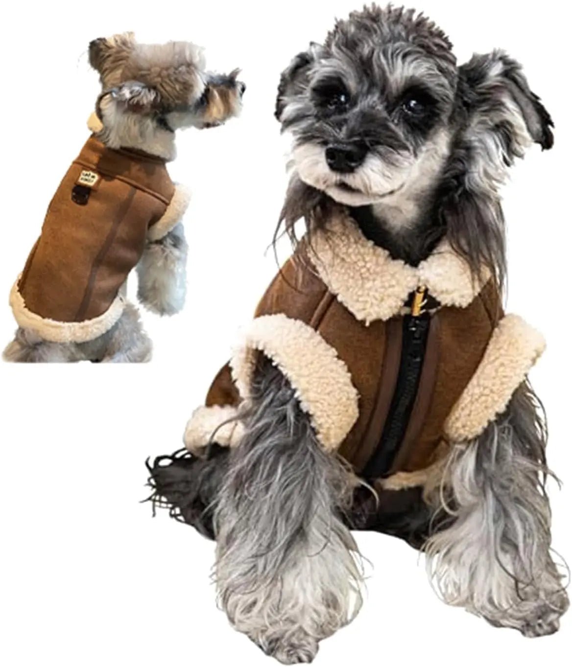 Brown faux leather dog aviator jacket with beige sherpa lining on small dogs