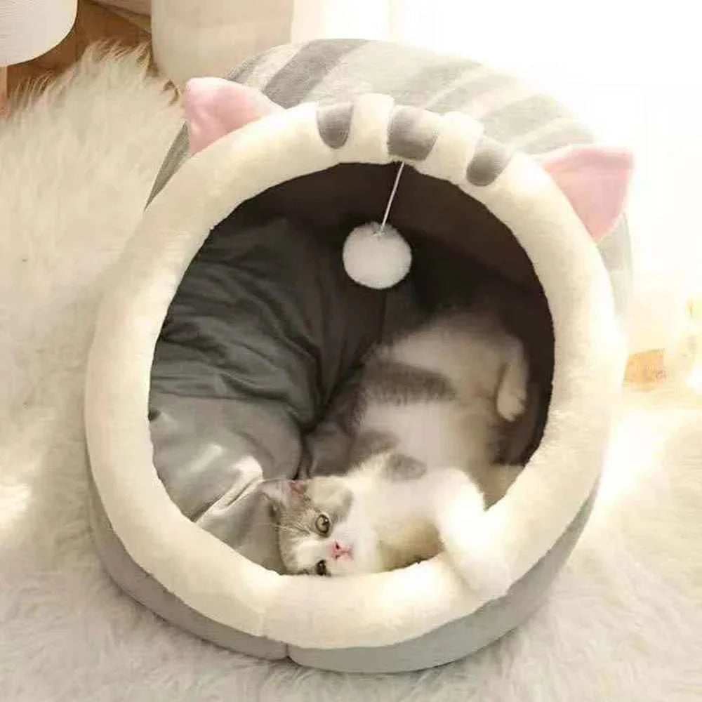 Cream semi-enclosed cat bed with dark inner nest; British Shorthair inside