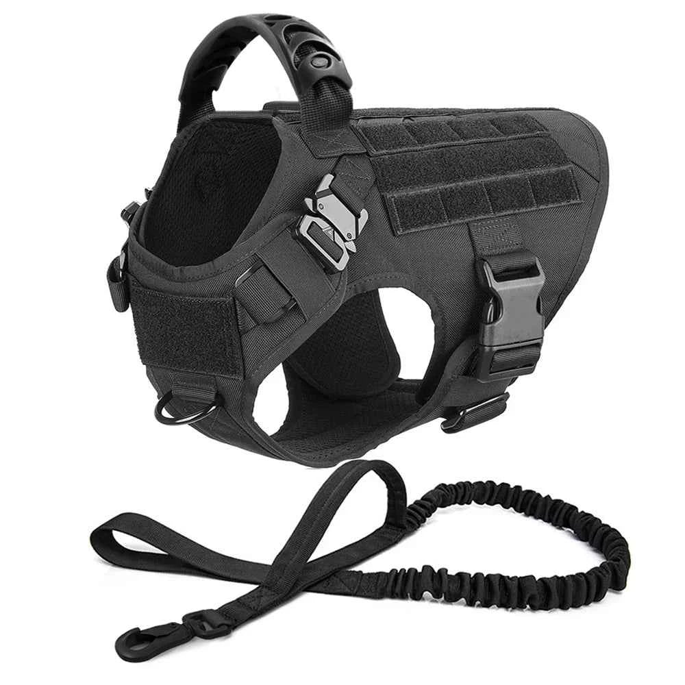 Black tactical dog harness vest with coiled leash and adjustable straps