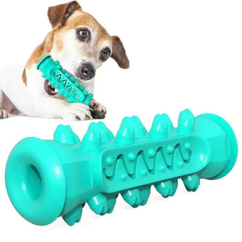 Teal rubber dental chew toy cylinder with spikes and wavy grip, shown with dog