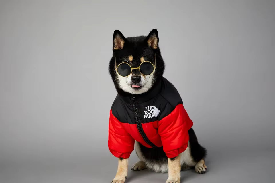 Red & black dog down jacket vest on model dog, front zipper, logo patch