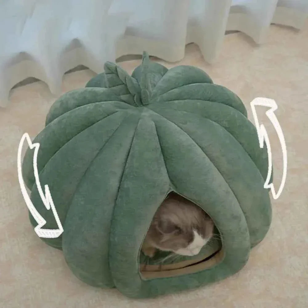 Green pumpkin-shaped pet bed with leaf top, cat inside tunnel opening